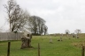 Avebury 11